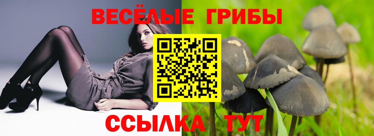 Alpha PVP Рославль